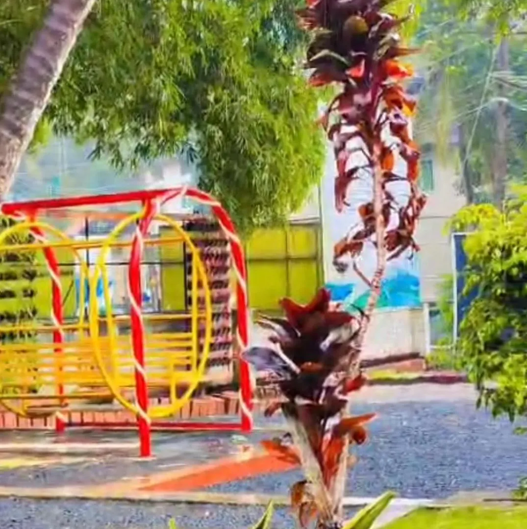 Homestay Blizzard Home Stay Wayanad Padinjarathara