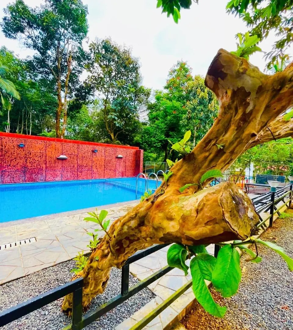 Blizzard Home Stay Wayanad Padinjarathara Homestay