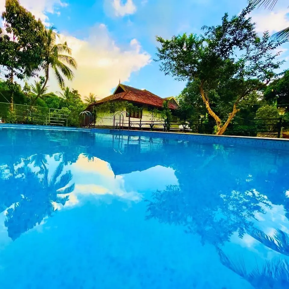 Blizzard Home Stay Wayanad Padinjarathara